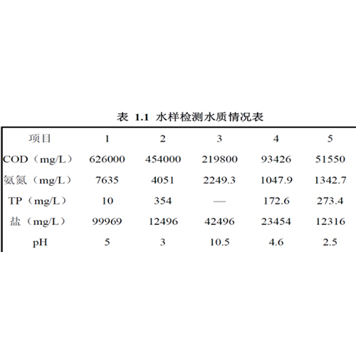 丹东南通某化工有限公司废水项目